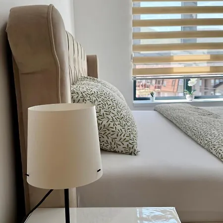 Aleksandar Apartment Soko Banja