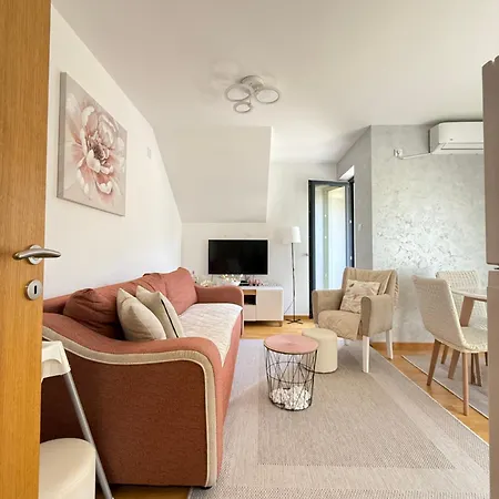 Aleksandar * Soko Banja