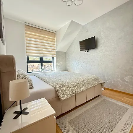 Apartment Aleksandar Soko Banja