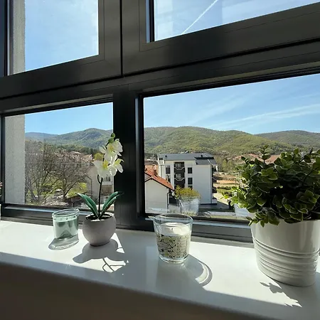 Aleksandar Apartman *