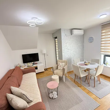 Aleksandar Apartman Soko Banja