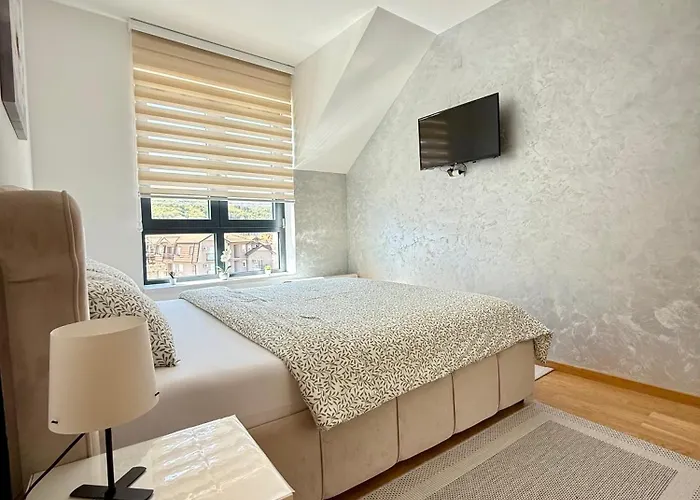 Apartament Aleksandar Sokobanja